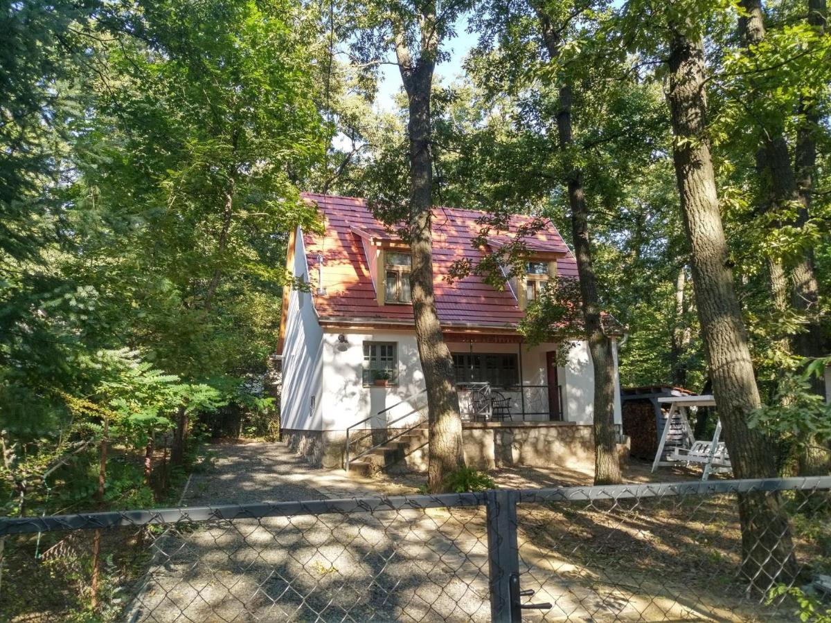 Noszvaj Huset Apartment Bagian luar foto